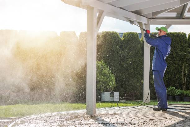 Best Dumpster Area Cleaning  in Roseville, OH